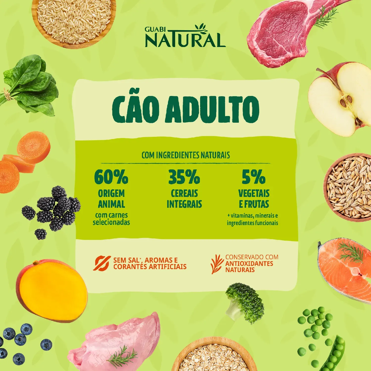 Racao Guabi Natural Caes Senior Racas Mini e Pequeno Frango e Arroz Integral 4